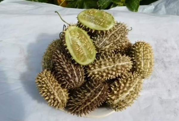 Главные интернет-мемы 2025 года: «Итальянский брейнрот» против «Эффекта Долиной»
Главные интернет-мемы 2025 года: «Итальянский брейнрот» против «Эффекта Долиной»