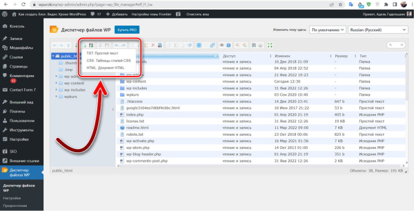 Как создать файл в корне сайта WordPress Как создать файл в корне сайта WordPress