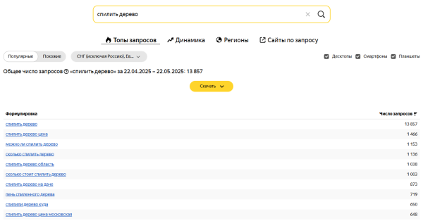 Как увеличить число запросов в топе Яндекса в 5 раз и поисковый трафик в 2,5 раза за месяц [кейс PromoPult]