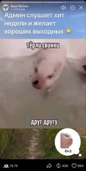 
&laquo;Тёрли свинки друг другу спинки&raquo; &mdash; как детская песня стала трендом
