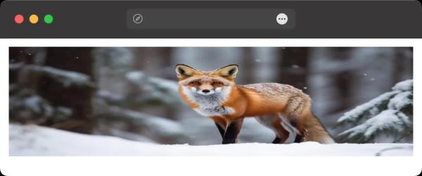 Как вывести картинку заданных размеров без искажений? Как вывести картинку заданных размеров без искажений?