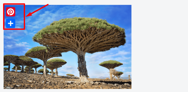 Подборка: 7 WordPress-плагинов для кнопок соцсетей