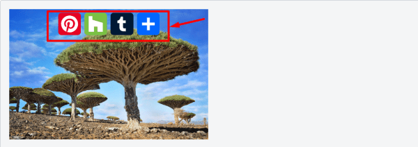 Подборка: 7 WordPress-плагинов для кнопок соцсетей