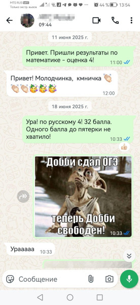 Что такое WhatsApp*