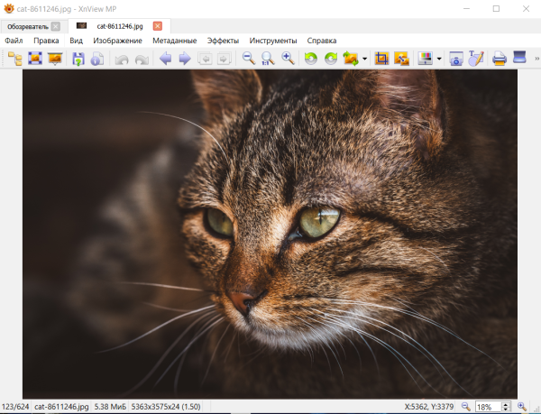 Как сжать изображение без потери качества: обзор онлайн и офлайн сервисов