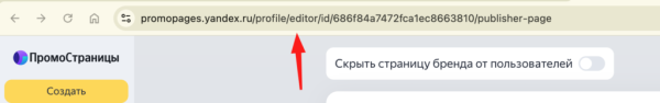 Чем полезны бизнесу ПромоСтраницы Яндекса и как настроить кампанию Чем полезны бизнесу ПромоСтраницы Яндекса и как настроить кампанию
