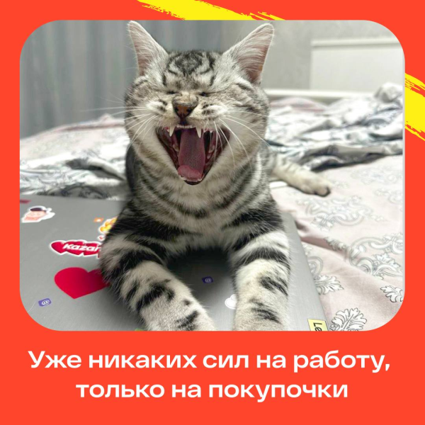 
Мемы как новый бизнес-инструмент: как брендам зарабатывать на вирусном эффекте						