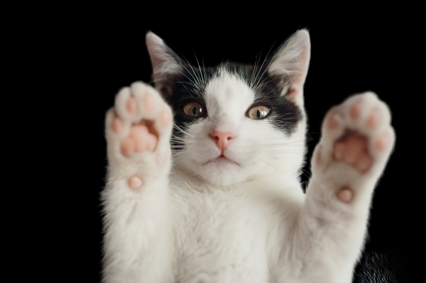 
Лучшие нейросети для обработки фото						