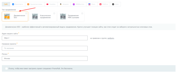 Представляем «Динамическое SEO» — новый тип проектов в PromoPult Представляем «Динамическое SEO» — новый тип проектов в PromoPult