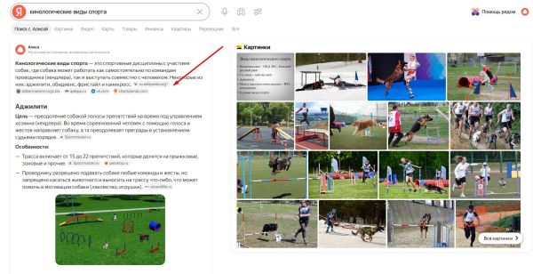 Итоги SEO 2025 и ключевые тренды на 2026-й