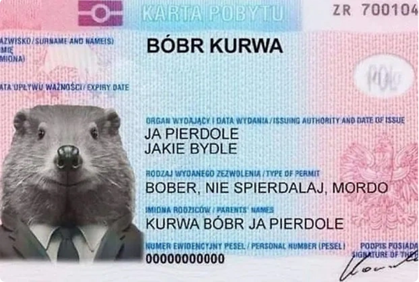 Главные интернет-мемы 2025 года: «Итальянский брейнрот» против «Эффекта Долиной»
Главные интернет-мемы 2025 года: «Итальянский брейнрот» против «Эффекта Долиной»