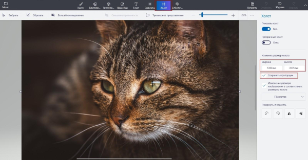 Как сжать изображение без потери качества: обзор онлайн и офлайн сервисов