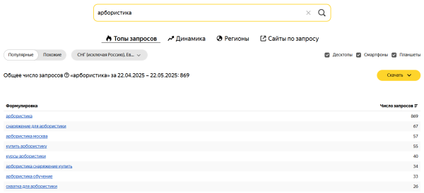 Как увеличить число запросов в топе Яндекса в 5 раз и поисковый трафик в 2,5 раза за месяц [кейс PromoPult]