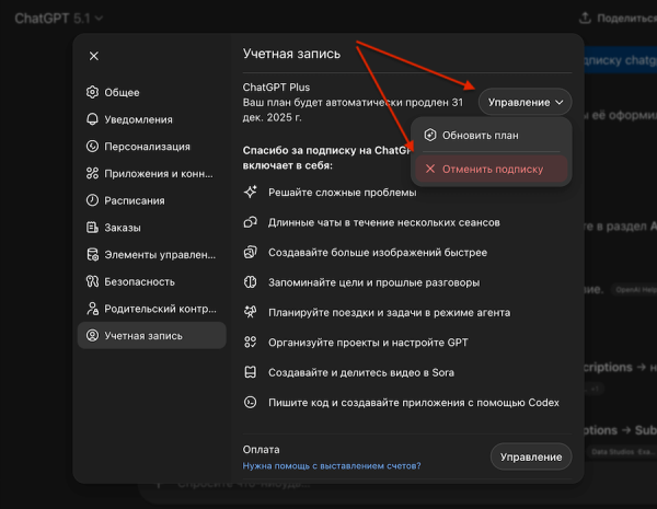 
Как получить ChatGPT Plus бесплатно на месяц &mdash; гайд
