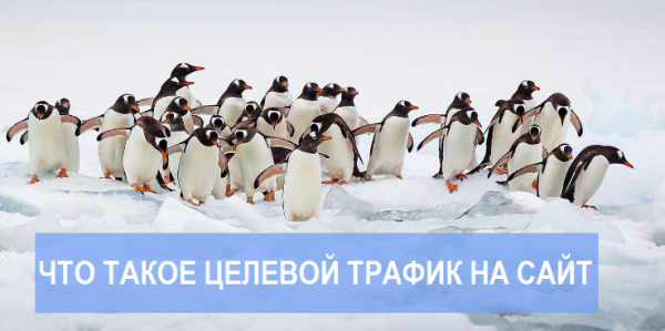 Что такое целевой трафик на сайт. Подробно и доступно для всех кто не в теме! Что такое целевой трафик на сайт. Подробно и доступно для всех кто не в теме!