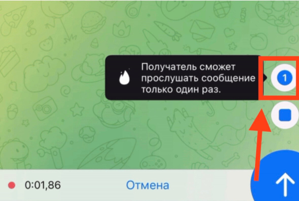 
11 фишек Телеграм-премиум, которые вы не используете
